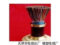 漯河銷售通信設備電源線RVVZ與RVVZ22-優質供應來自天津市電纜總廠橡塑電纜廠